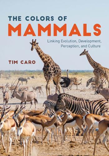 Colors of Mammals