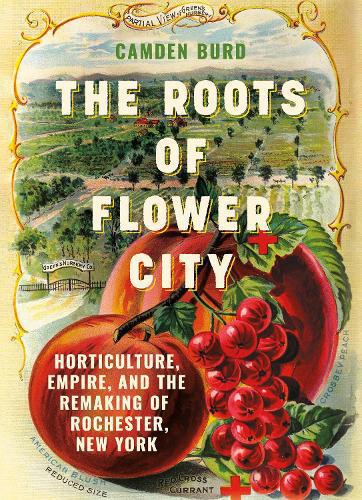 Roots of Flower City