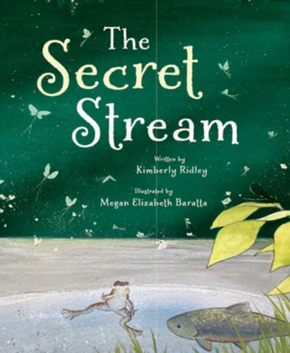 Secret Stream